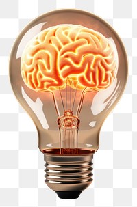 PNG Light lightbulb brain electricity. 