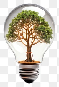 PNG Light lightbulb plant tree. AI generated Image by rawpixel.