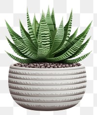 PNG Plant aloe vase  