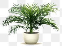 PNG Plant leaf white background houseplant. AI generated Image by rawpixel.