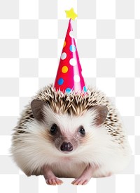 PNG Hedgehog animal mammal hat. AI generated Image by rawpixel.