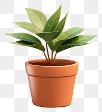 PNG Plant leaf pot  