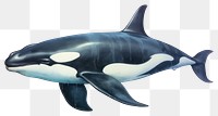 PNG Whale animal mammal shark. AI generated Image by rawpixel.