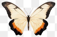 PNG Butterfly animal insect  