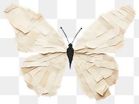 PNG Butterfly insect animal white