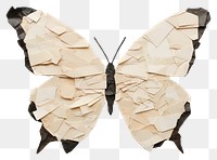 PNG Butterfly paper art insect. 