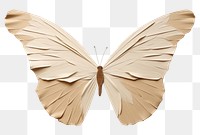 PNG Butterfly art animal insect. AI generated Image by rawpixel.