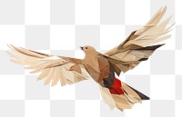 PNG Flying bird animal  