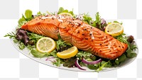 PNG Salmon seafood salad meat. 