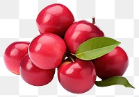 PNG Fruit plant food lingonberry. AI generated Image by rawpixel.