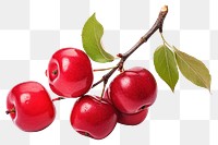 PNG Cherry fruit plant food. 