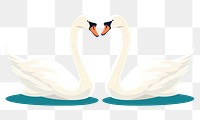 PNG Swan animal white bird. 