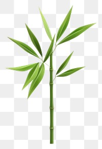 PNG Bamboo plant leaf transparent background. AI generated Image by rawpixel.