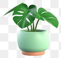 PNG Plant leaf vase houseplant. 