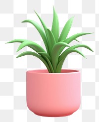 PNG Plant aloe vase transparent background. 