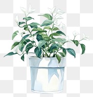 PNG Plant flower vase houseplant. AI generated Image by rawpixel.