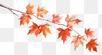 PNG Maple tree branch plant. AI generated Image by rawpixel.