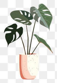 PNG Plant vase leaf houseplant. 