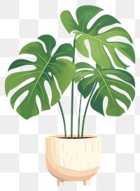 PNG Plant leaf houseplant flowerpot. 