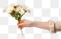 PNG Flower finger plant white. AI generated Image by rawpixel.