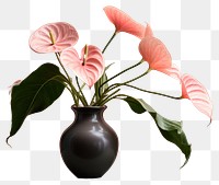 PNG Anthurium flower plant vase. 