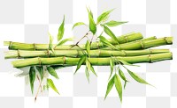 PNG Bamboo plant transparent background asparagus. 