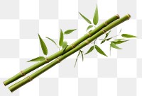 PNG Bamboo plant transparent background asparagus. 