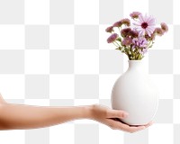 PNG Flower vase holding plant. 