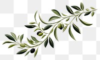 PNG Pattern branch plant olive. AI generated Image by rawpixel.
