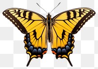 PNG Butterfly animal insect white background. AI generated Image by rawpixel.