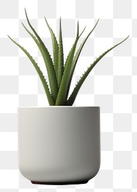 PNG Plant aloe vase potted plant. AI generated Image by rawpixel.