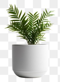 PNG Plant leaf vase white background. AI generated Image by rawpixel.
