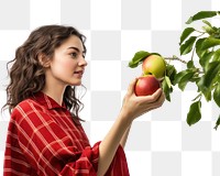 PNG Apple fruit plant food. AI generated Image by rawpixel.