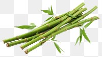 PNG Bamboo plant transparent background asparagus. 