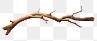 PNG Driftwood branch antler tree. AI generated Image by rawpixel.