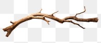 PNG Driftwood branch antler tree.