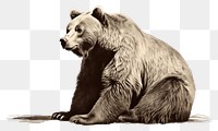 PNG Bear wildlife drawing mammal. AI generated Image by rawpixel.