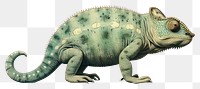 PNG Chameleon reptile drawing animal. 