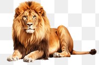 PNG Mammal animal lion white background. AI generated Image by rawpixel.