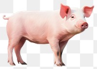 PNG Pig mammal animal pink. AI generated Image by rawpixel.