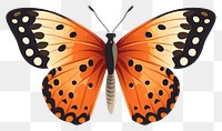 PNG Butterfly insect animal  