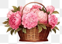 PNG  Flower basket wicker plant. AI generated Image by rawpixel.