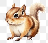 PNG Squirrel rodent animal mammal. AI generated Image by rawpixel.