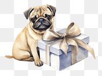 PNG Mammal animal pug pet. AI generated Image by rawpixel.