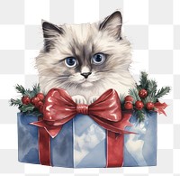 PNG Christmas animal mammal kitten. AI generated Image by rawpixel.