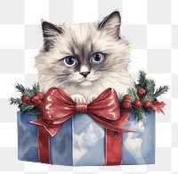 PNG Christmas animal mammal kitten. 