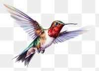 PNG Hummingbird animal flying wildlife. AI generated Image by rawpixel.