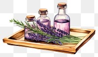 PNG Lavender bottle flower purple. 