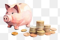 PNG Pig coin investment bankruptcy. 