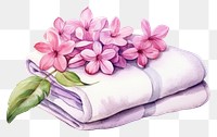 PNG Flower towel fragility plant. 